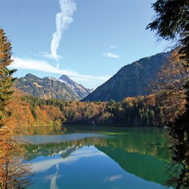 Landschaft Galerie Vorschaubild