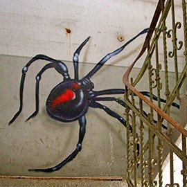 Fauna Galerie Vorschaubild