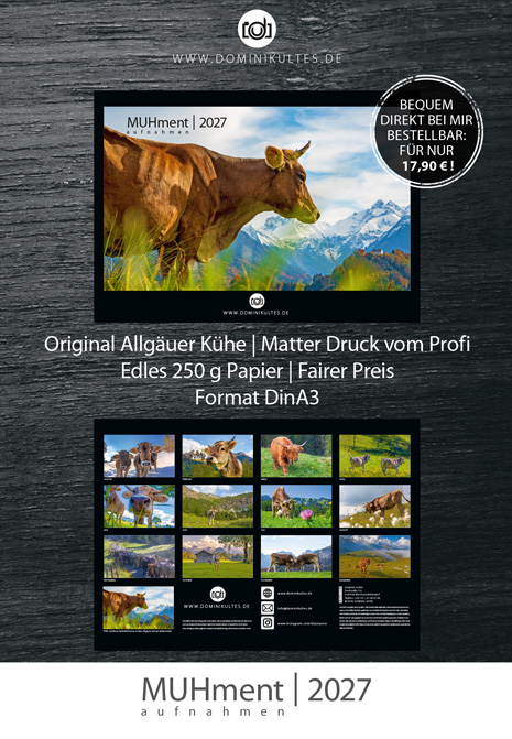 Allgäuer Kuh Kalender MUHment 2027 von Dominik Ultes